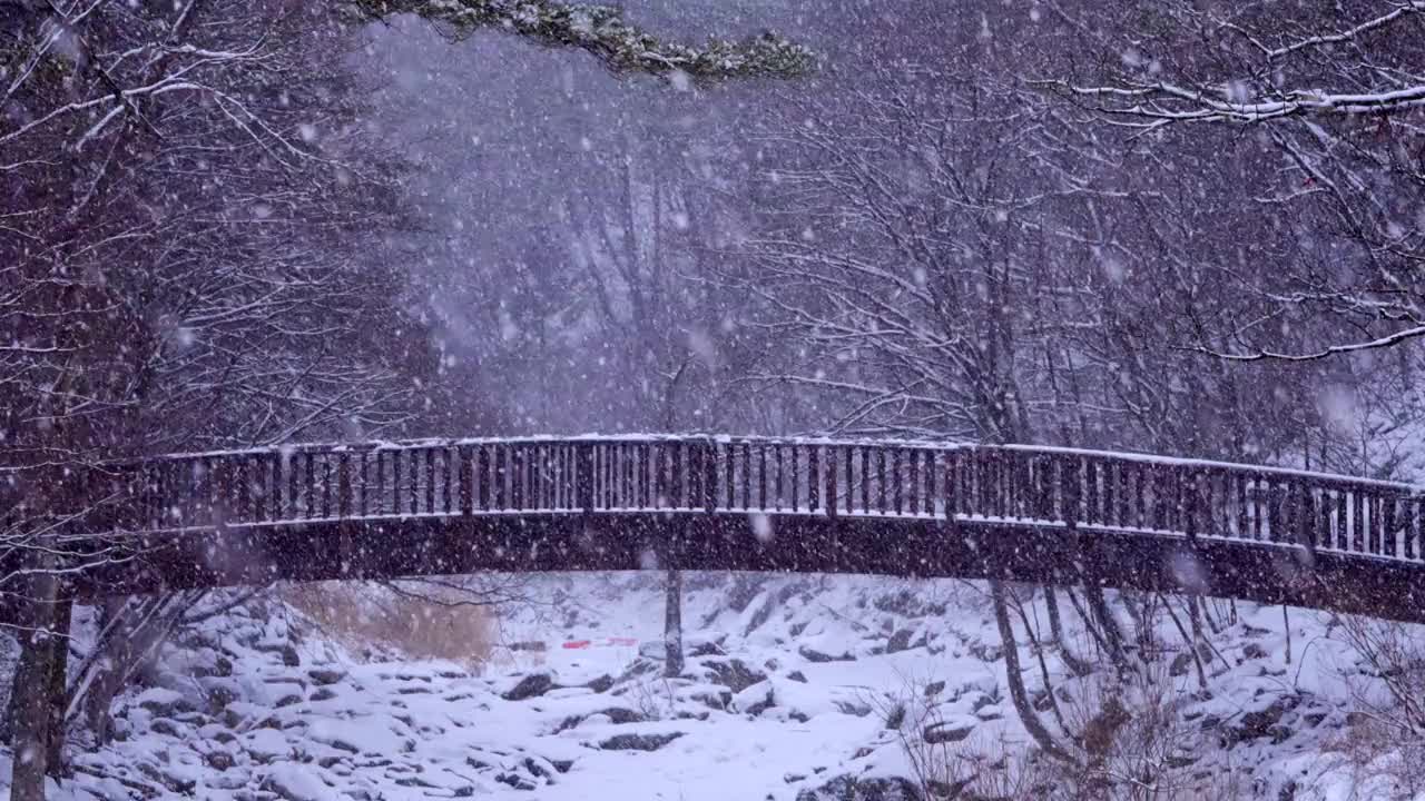 冬季山谷、桥梁和大关岭山口的雪景/韩国江原道平昌郡视频素材