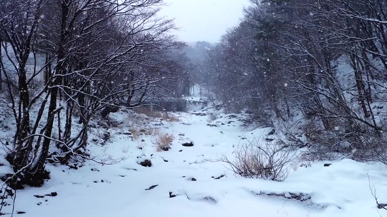 冬季大桥、山谷和大关岭山口的雪景/韩国江原道平昌郡视频素材