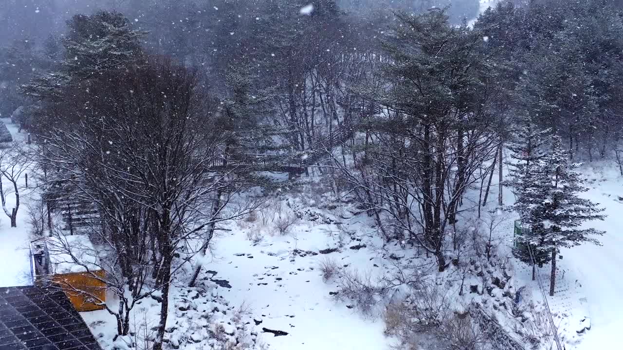 冬季大桥、山谷和大关岭山口的雪景/韩国江原道平昌郡视频素材