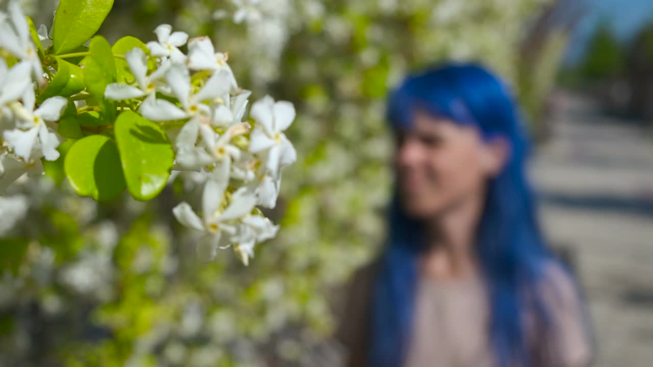 花粉过敏，花期。视频素材