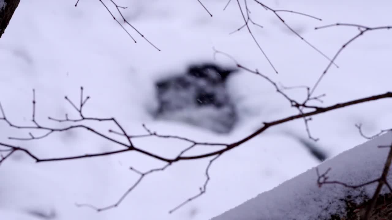 冬季山谷和大关岭山口的雪景/韩国江原道平昌郡视频素材