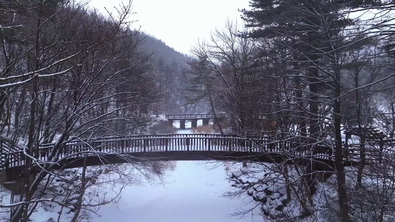 冬季山谷、桥梁和大关岭山口的雪景/韩国江原道平昌郡视频素材