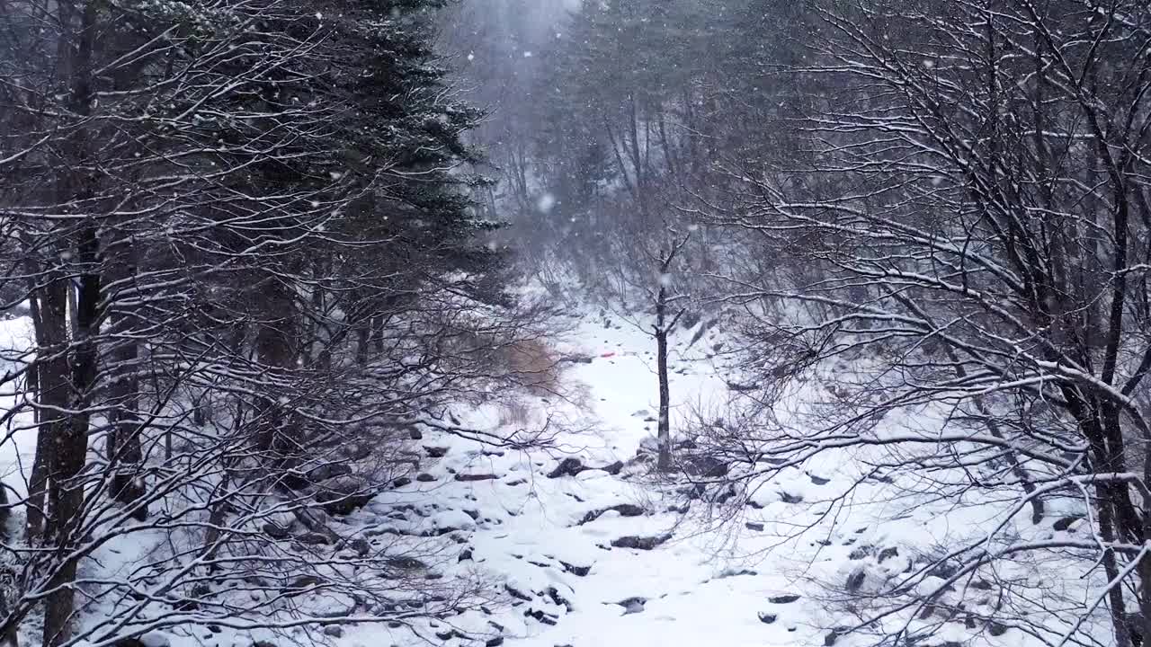 冬季山谷和大关岭山口的雪景/韩国江原道平昌郡视频素材