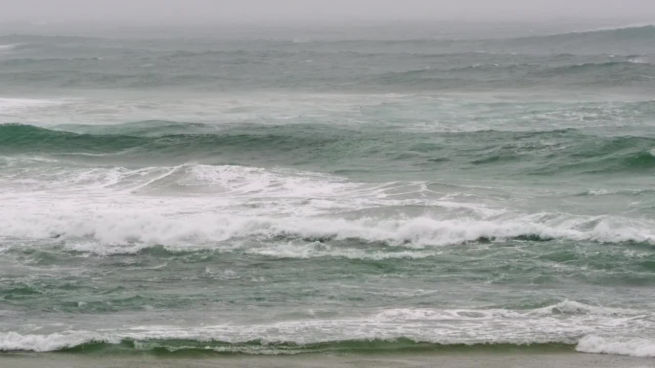 蒙特雷湾的破浪视频素材