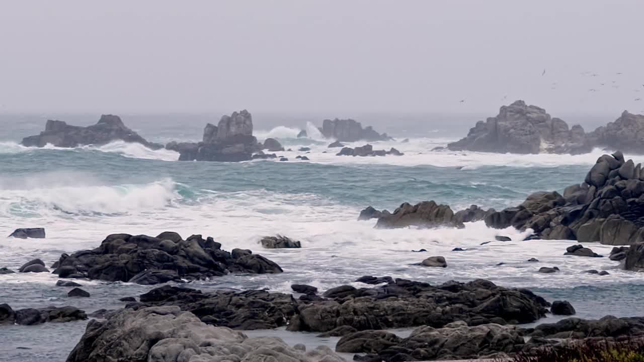 蒙特利湾岩石上的海浪视频素材