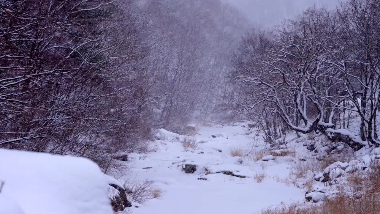 冬季山谷和大关岭山口的雪景/韩国江原道平昌郡视频素材