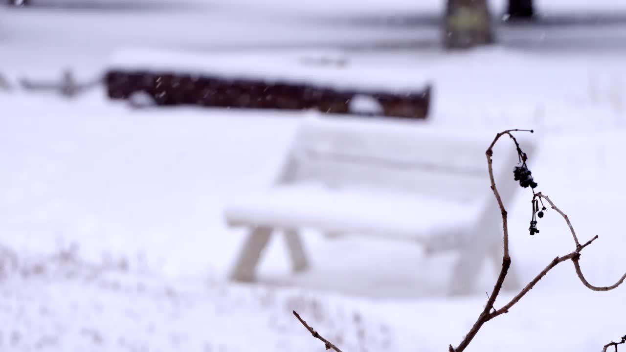 韩国江原道平昌郡冬季长凳和大关岭山口的雪景视频素材