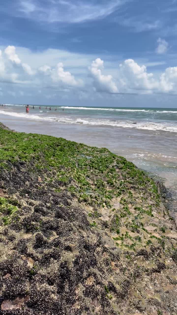 夏日的Boa Viagem海滩视频素材