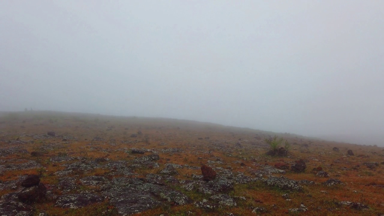 冬季雾期间，奥里萨邦koraput odisha的deomali山顶的美丽风景视频素材