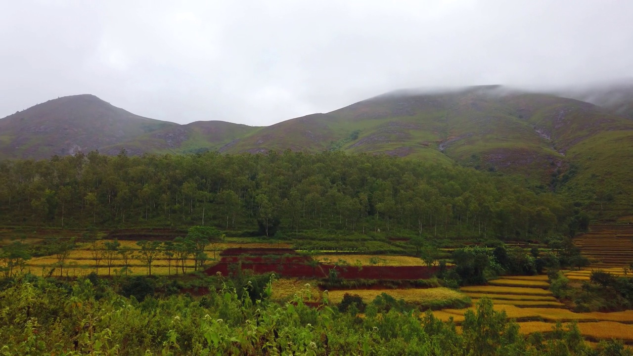 冬季雾期间，奥里萨邦koraput odisha的deomali山顶的美丽风景视频素材