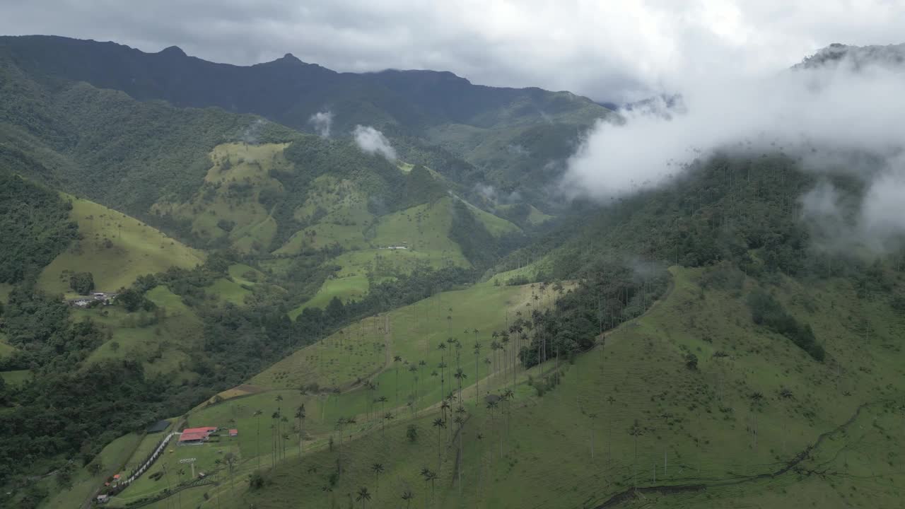 空中全景顶部在科科拉山谷安第斯森林，哥伦比亚昆迪奥部门洛斯内瓦多斯国家自然公园视频素材