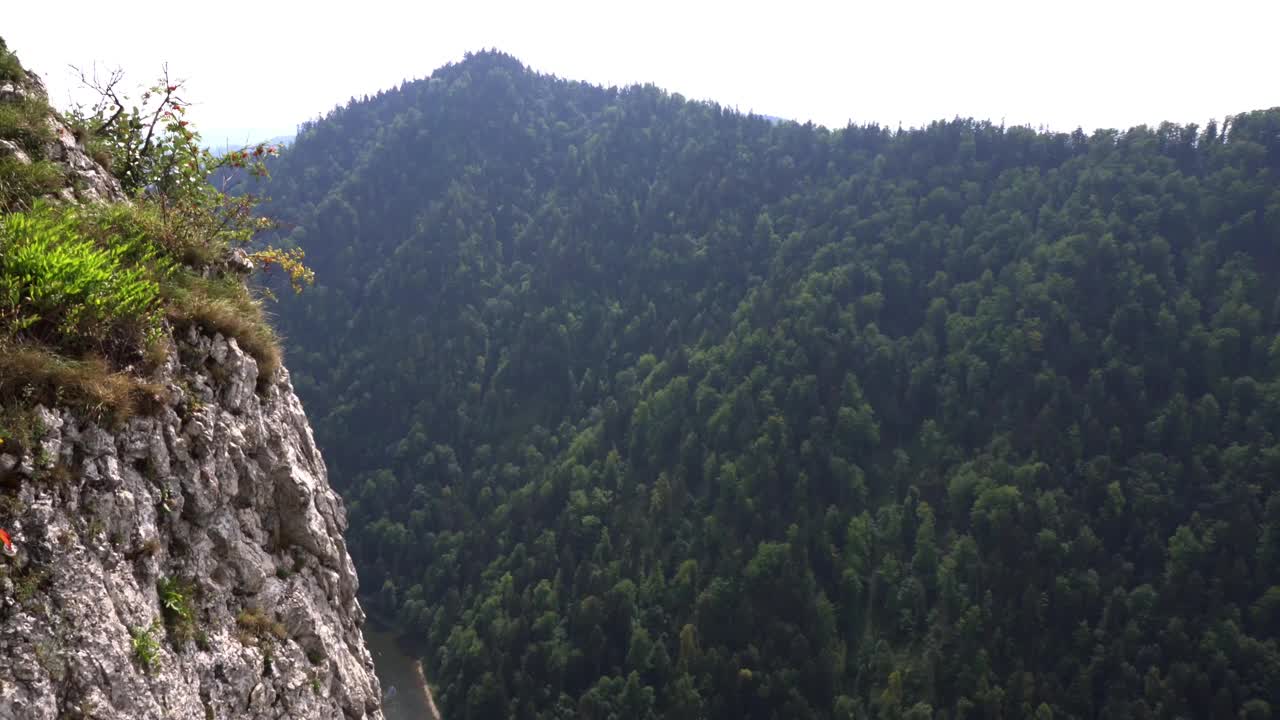 峡谷河:流经峡谷的山间河流视频素材