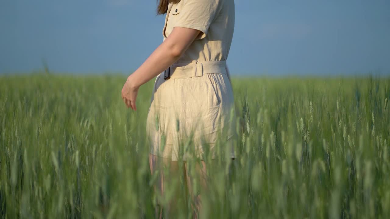 一个女孩站在麦田里转圈，用手摸着麦穗。年轻的农妇正在享受丰收的小麦视频素材