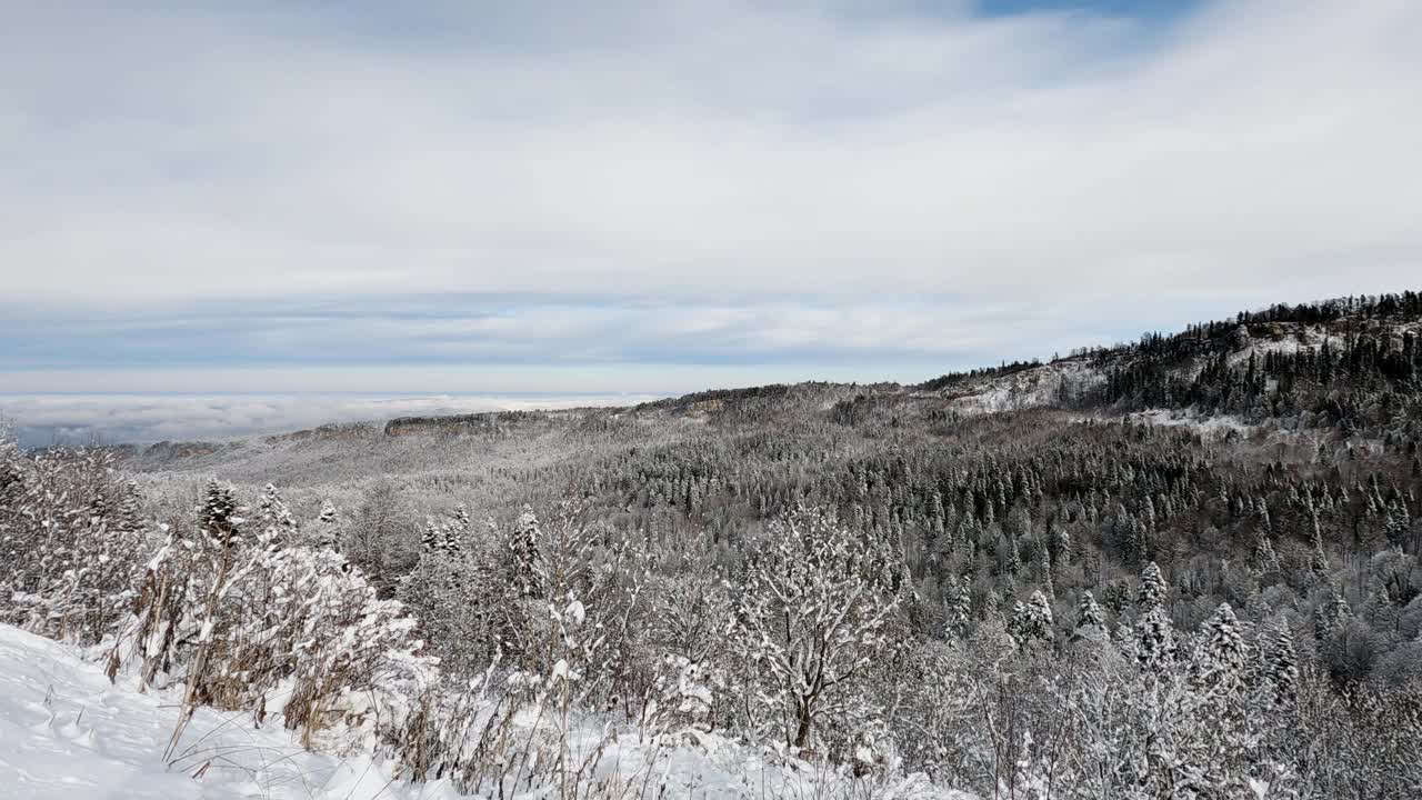 冬季山地景观。森林和山脉被白雪覆盖。视频素材