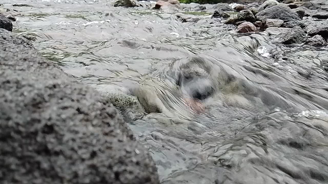 小溪视频下载