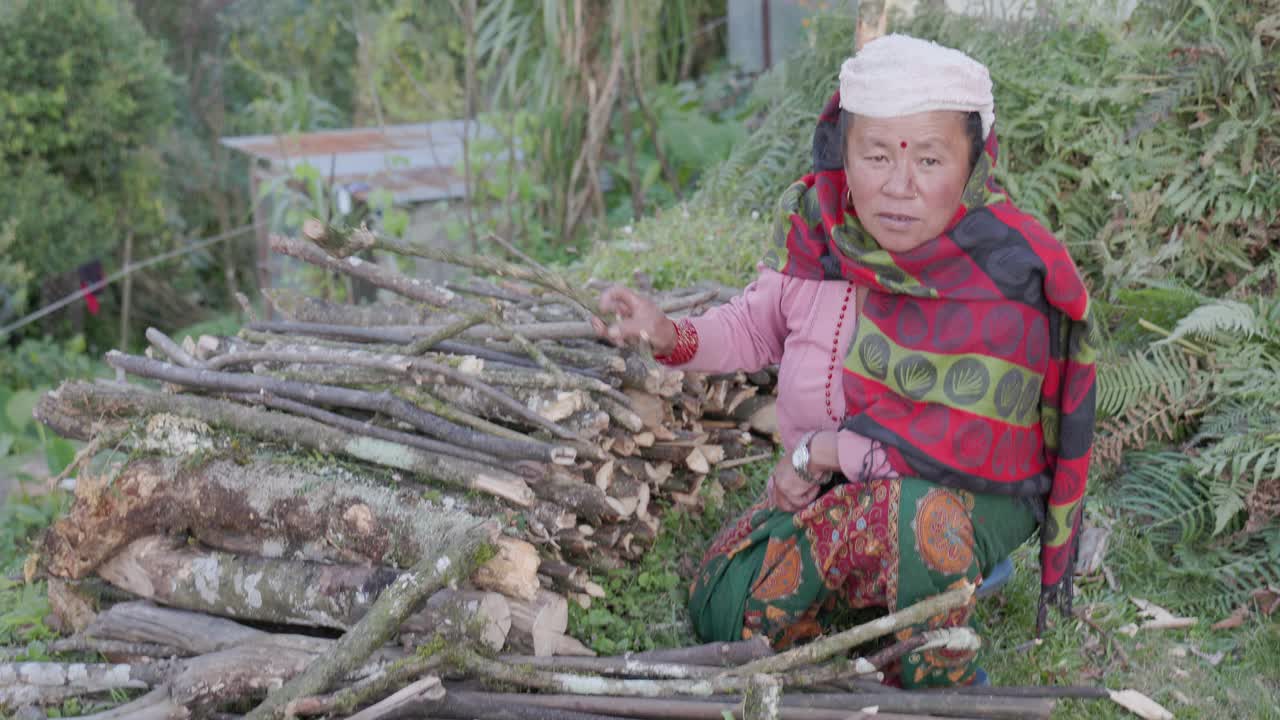 一名尼泊尔妇女在安纳普尔纳山脉附近收集森林视频素材