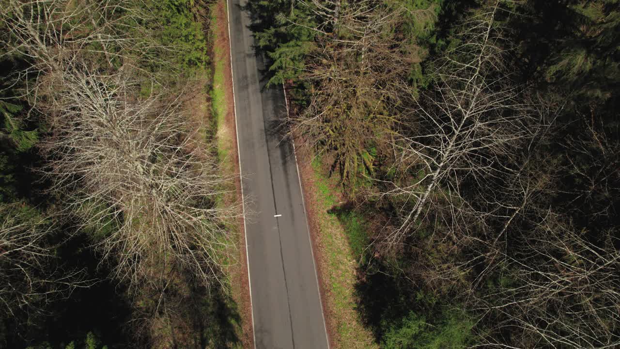 茂密森林中卡车驾驶山路鸟瞰图视频素材