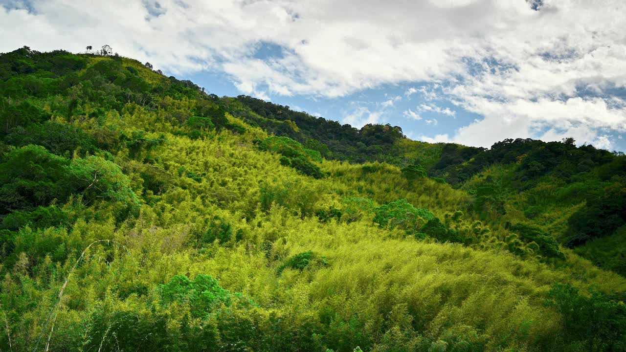 山上长满了绿色的植物。春天山谷的景色。视频素材