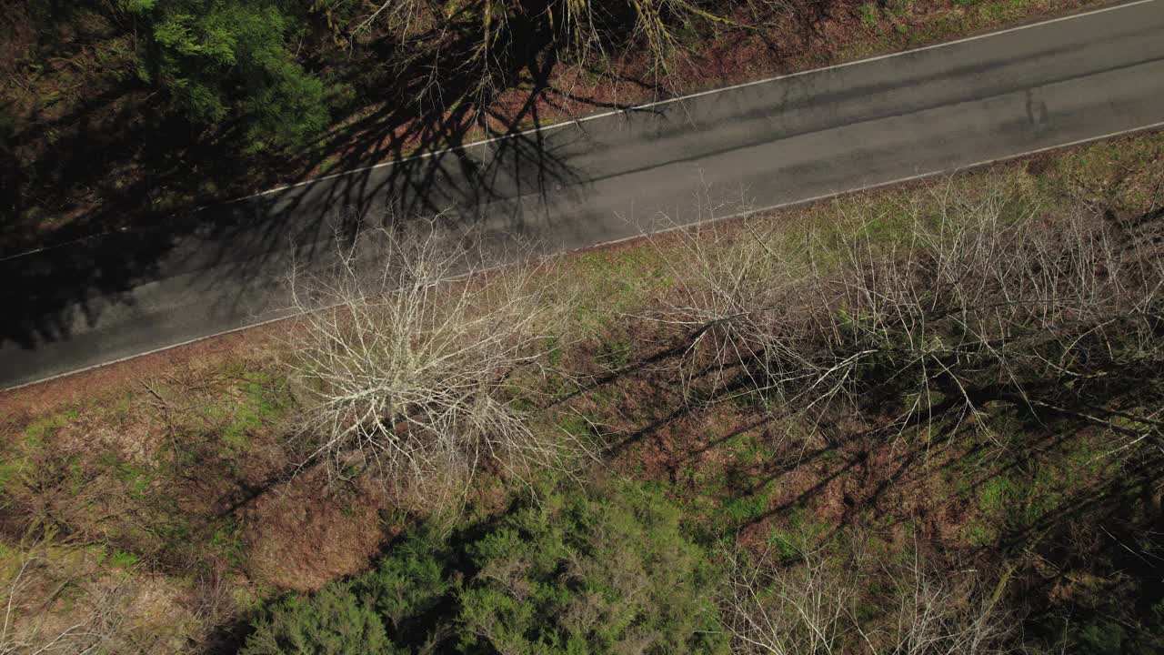 银色汽车驾驶乡村森林道路的无人机俯视图视频素材