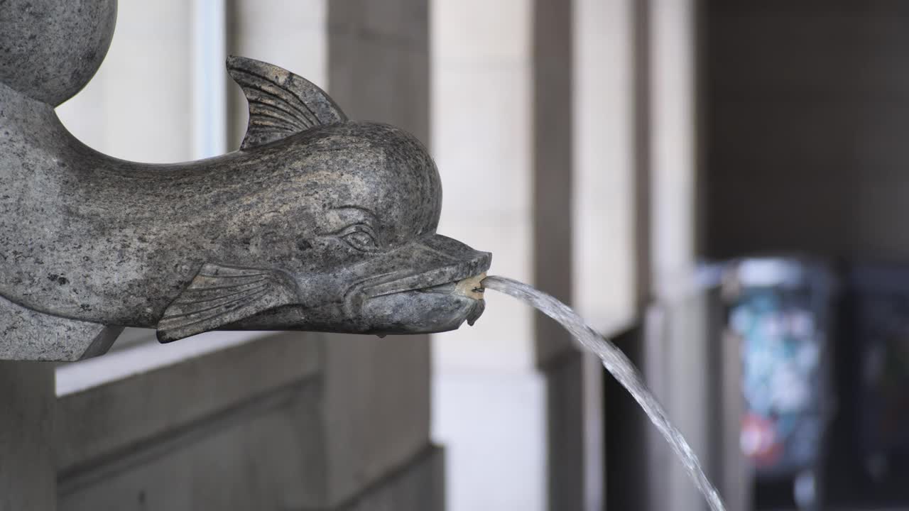 瑞士苏黎世，古老的金属鱼雕塑饮水机。流动的淡水，近距离拍摄，实时，没有人，浅景深视频素材