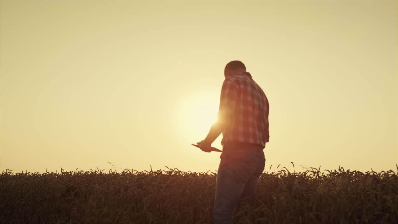 农民剪影在金色的夕阳下使用石碑。农学家检查小麦品质视频素材