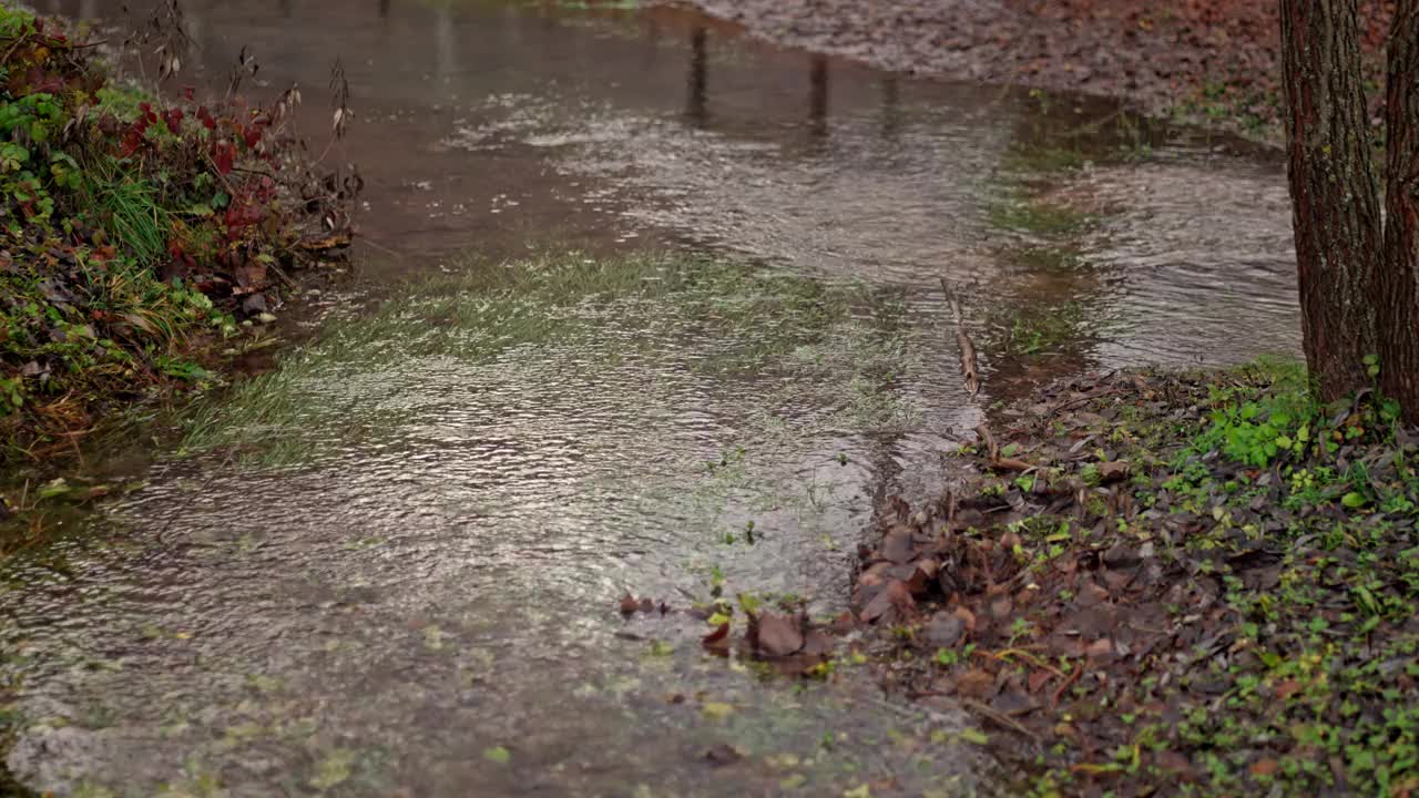 雨天的小溪视频素材