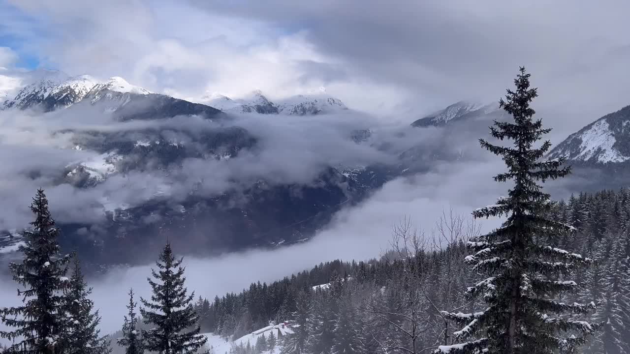 法国阿尔卑斯山的冬季风光，山坡上有雪色的松树视频素材