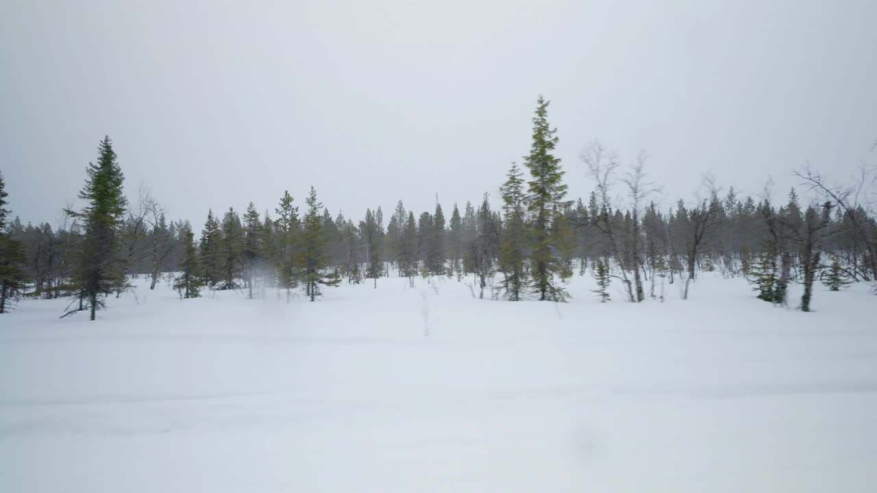 拉普兰森林上空的降雪视频素材