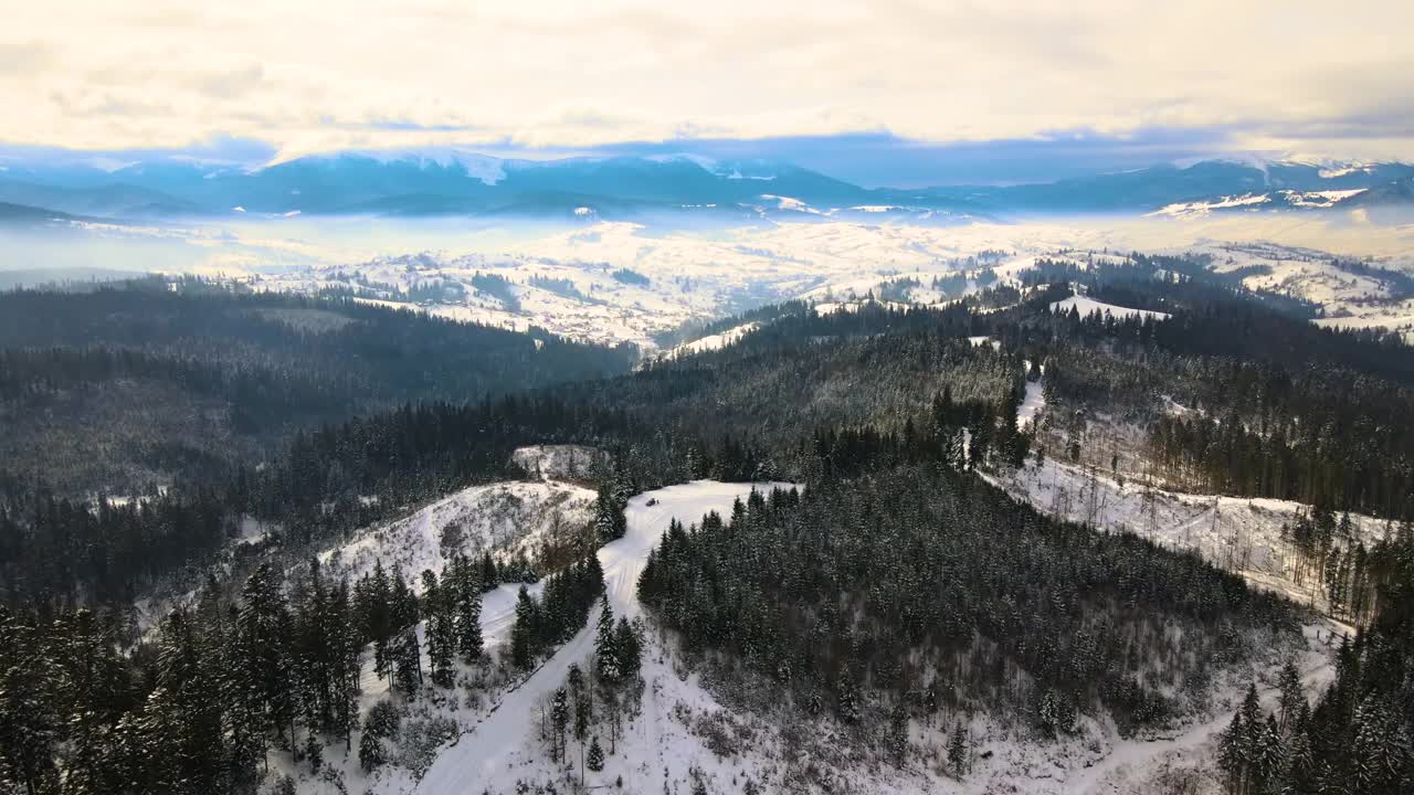 冬季景观与云杉冰雪覆盖的森林在寒冷的山区视频素材