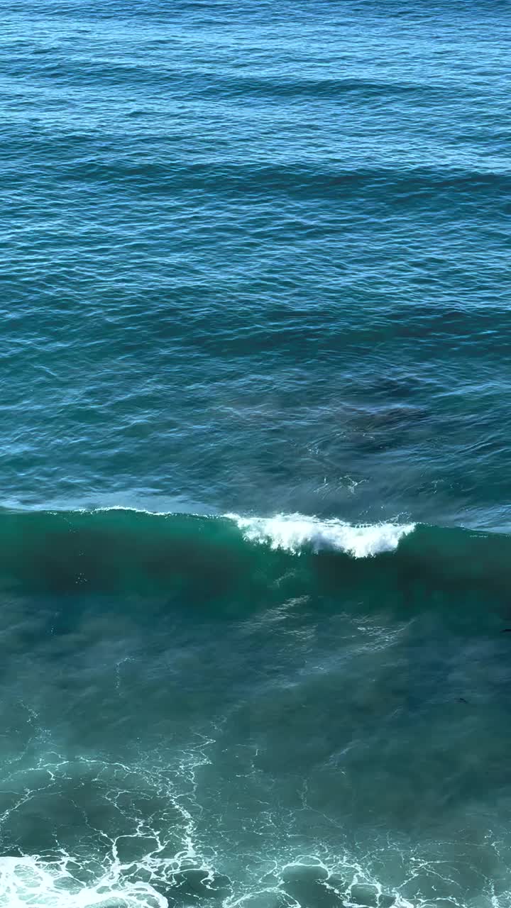 太平洋表面海浪的特写视频下载