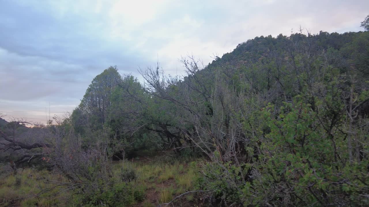 科罗拉多荒野日落视频素材