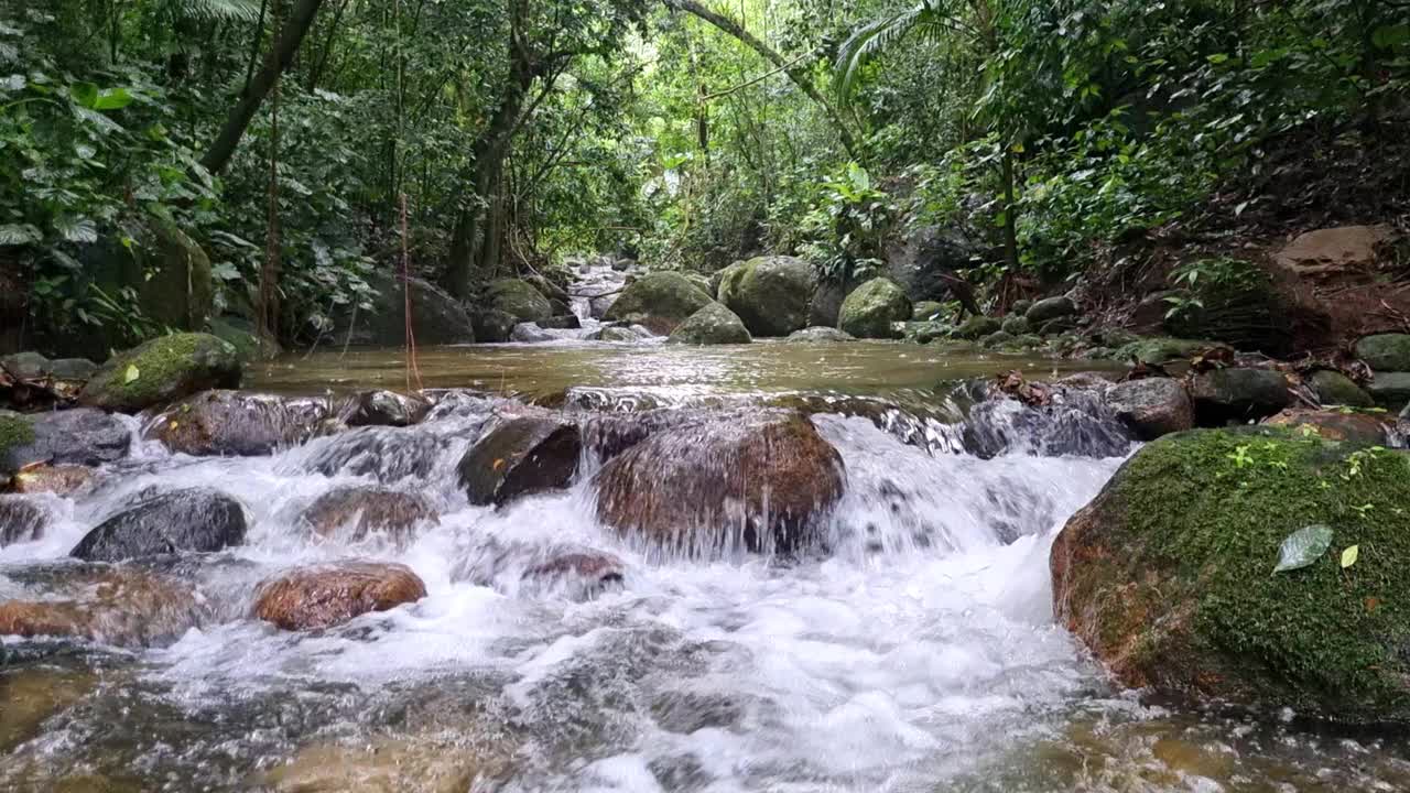 自然河流瀑布林视频素材