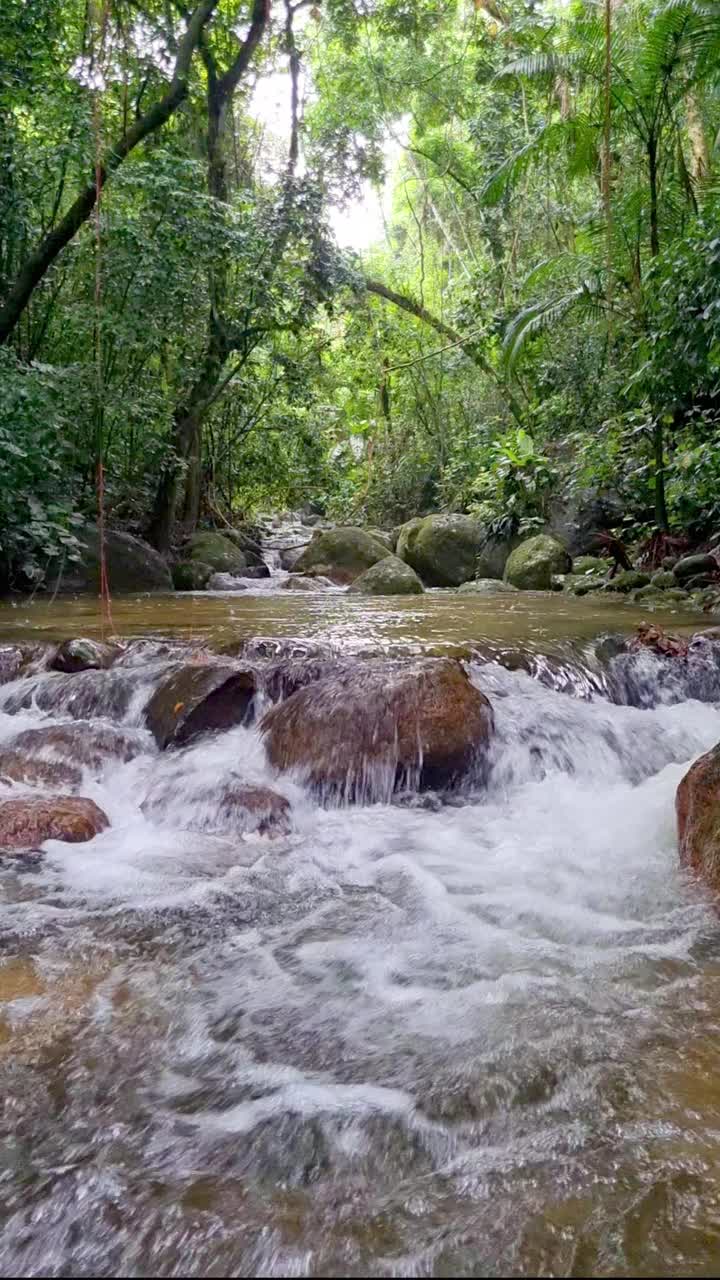 自然河流瀑布林视频素材