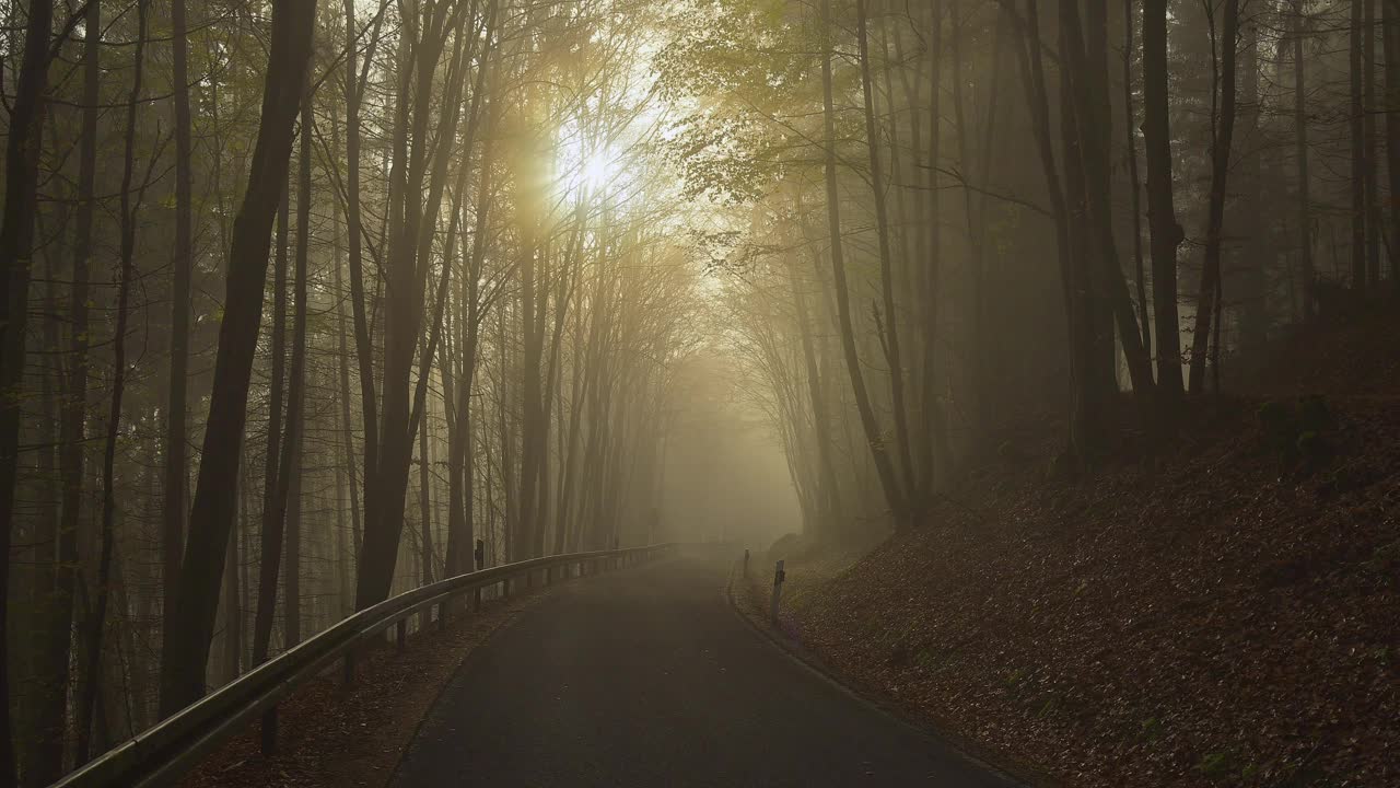 秋天的森林路，Mörschenhardt，穆道，奥登瓦尔德，Baden-Württemberg，德国视频素材