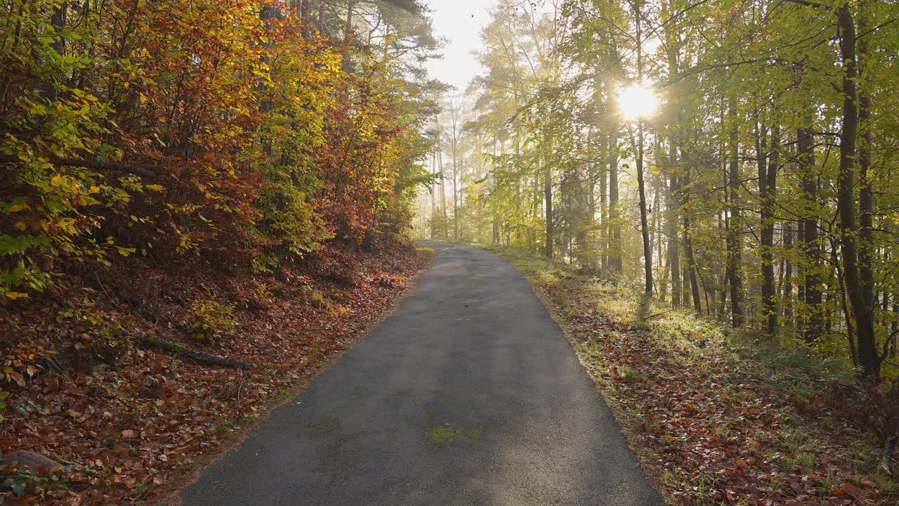 秋天的森林路，Mörschenhardt，穆道，奥登瓦尔德，Baden-Württemberg，德国视频素材