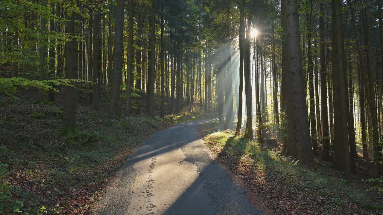 Forest road in autumn, Mörschenhardt, Mudau, Odenwald, Baden-Württemberg, Germany视频素材