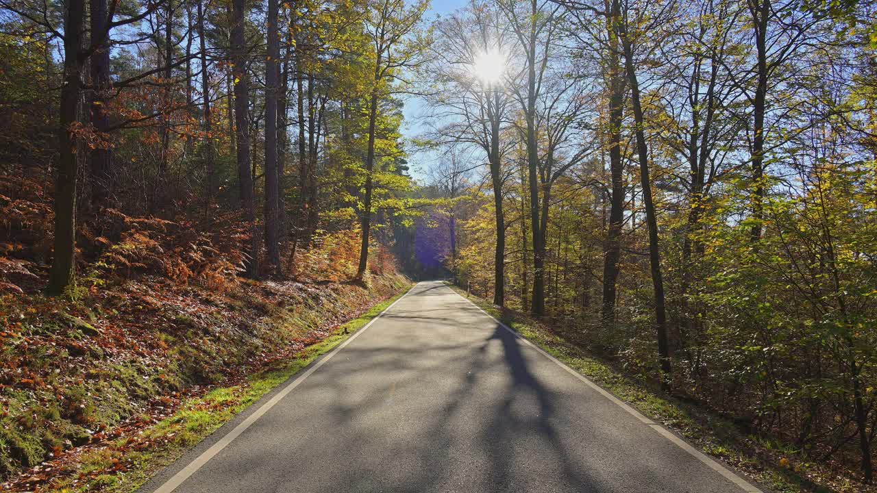 Forest road in autumn, Mudau, Odenwald, Baden-Württemberg, Germany视频素材