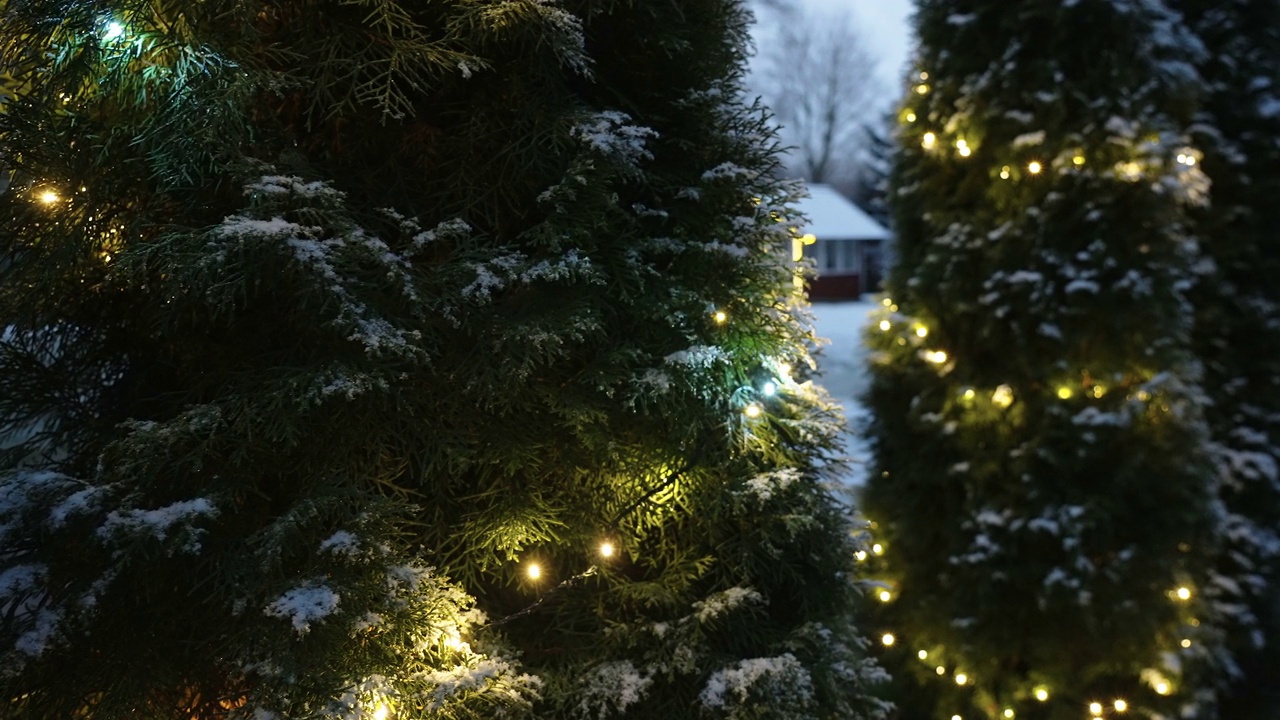 爱沙尼亚的雪和系列灯围绕着树视频素材