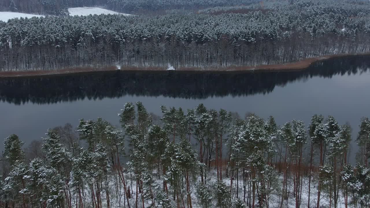 鸟瞰白雪覆盖的树梢，森林中平静的湖面，冬日。宁静的自然，清新的空气，清澈的碧水。在美丽宁静的冬季湖上，飞越令人惊叹的雪松林。视频素材