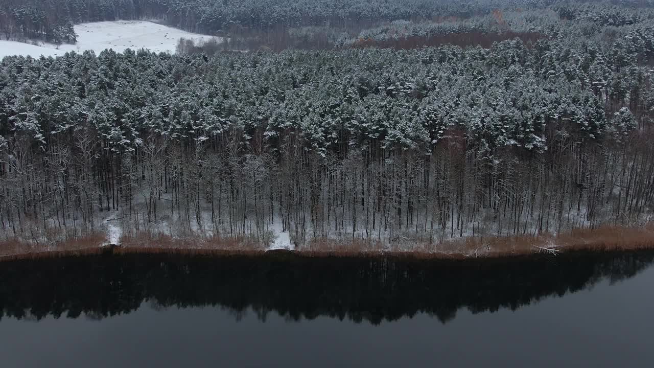 鸟瞰白雪覆盖的树梢，森林中平静的湖面，冬日。宁静的自然，清新的空气，清澈的碧水。在美丽宁静的冬季湖上，飞越令人惊叹的雪松林。视频素材