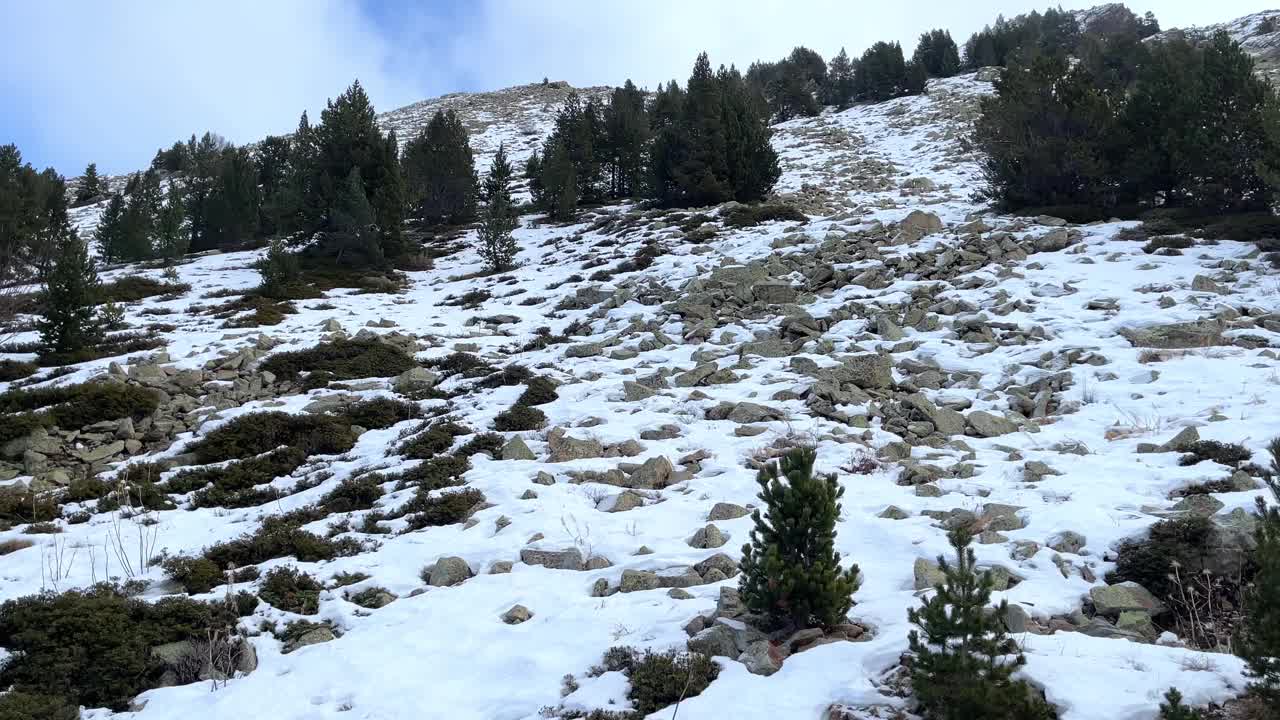 落基山腰与石头地衣无人机视图视频下载