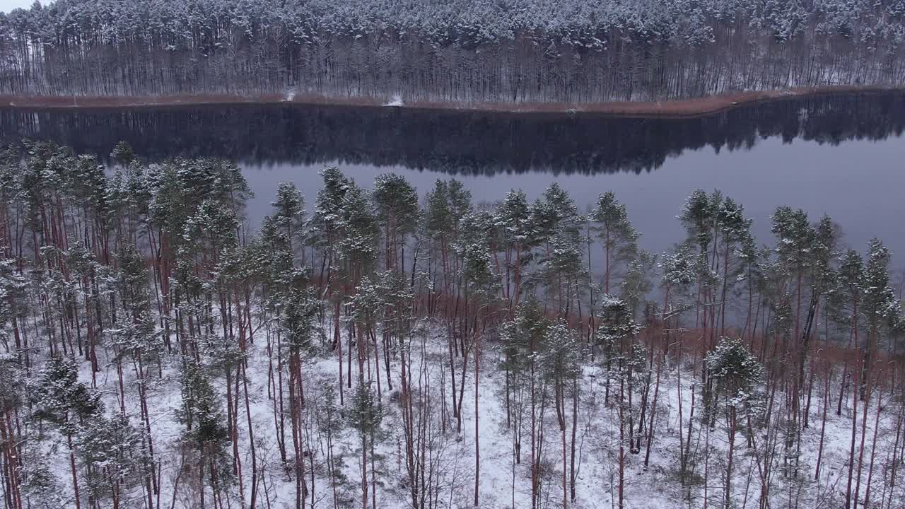 鸟瞰白雪覆盖的树梢，森林中平静的湖面，冬日。宁静的自然，清新的空气，清澈的碧水。在美丽宁静的冬季湖上，飞越令人惊叹的雪松林。视频素材