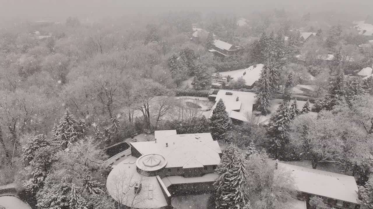 白雪皑皑的郊区视频素材