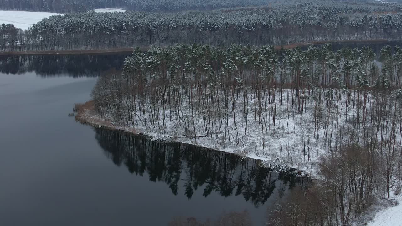 鸟瞰白雪覆盖的树梢，森林中平静的湖面，冬日。宁静的自然，清新的空气，清澈的碧水。在美丽宁静的冬季湖上，飞越令人惊叹的雪松林。视频素材