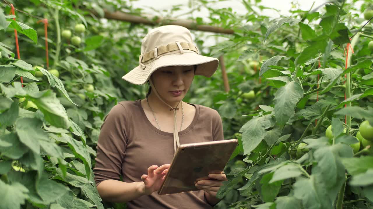 年轻的女农民站在温室里，看着相机视频素材