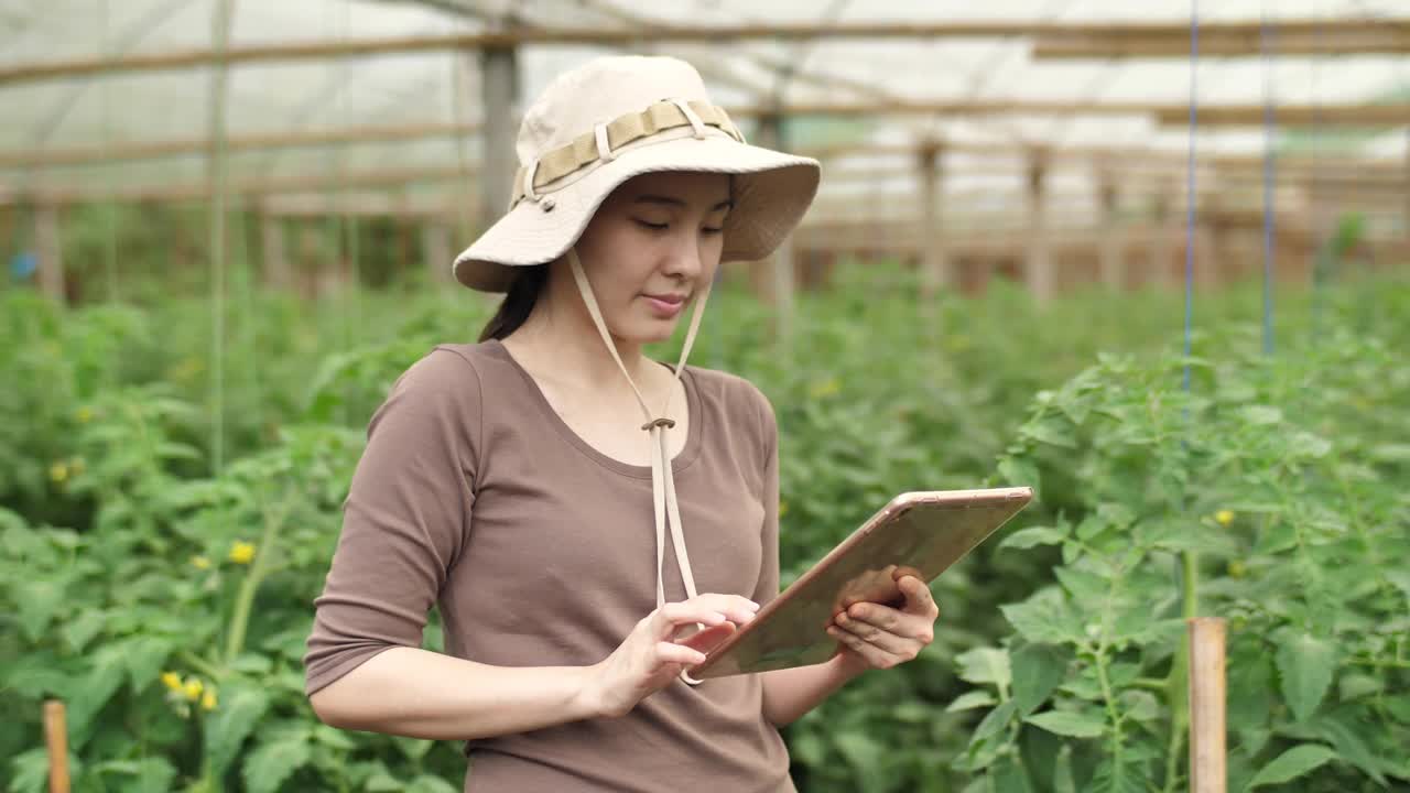 年轻的女农民站在温室里，看着相机视频素材