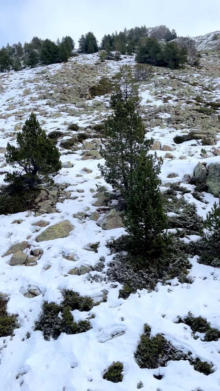 落基山腰与石头地衣无人机视图视频素材