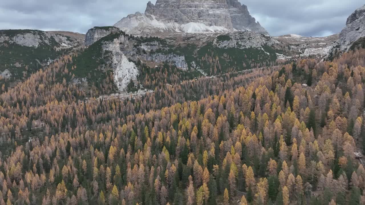 阴天被大片树林包围的山区。视频素材