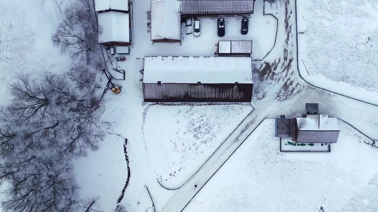 大关岭羊场和雪山/江原道，韩国视频素材