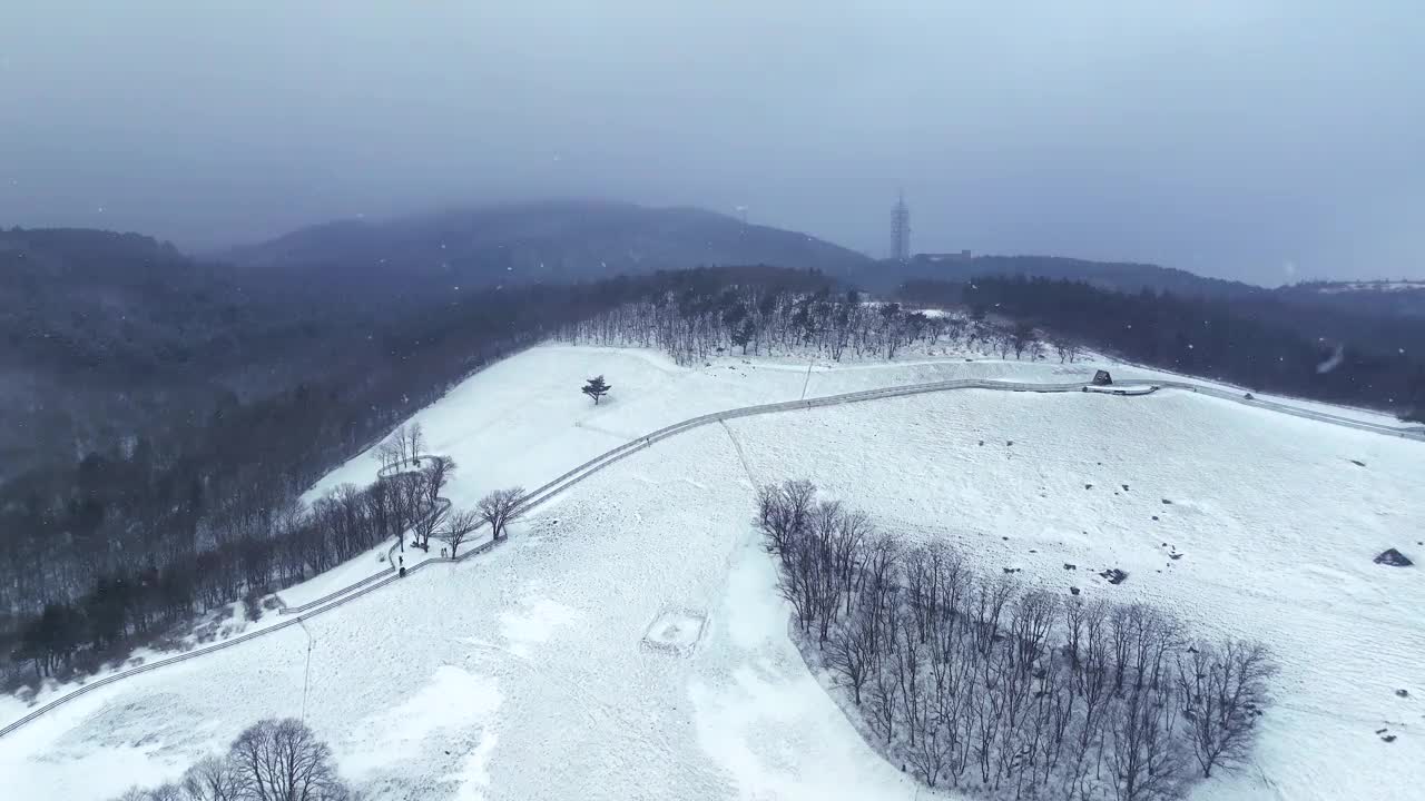 大关岭羊场和雪山/江原道，韩国视频素材